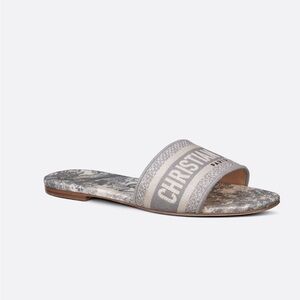 Christian Dior dway Slide (Gray)